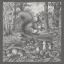 Kitchen towel - Tesori del Bosco - Anthracite - NO Aida