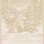 Kitchen towel - Armonia - Ecru Lurex - NO Aida