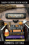 Salem Sisters Book Nook