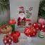 Santa and Merry Muscaria