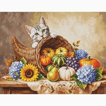 Autumn Harvest
