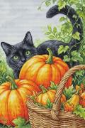October Charm