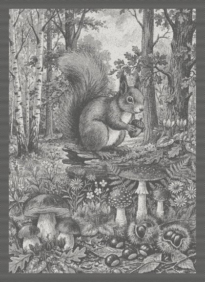 Kitchen towel - Tesori del Bosco - Anthracite - NO Aida