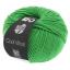 Cool Wool - Apple green 0504