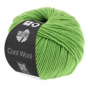 Cool Wool - Light green 0509