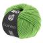 Cool Wool - Light green 0509