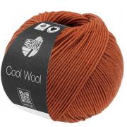 Cool Wool - Cinnamon 2125