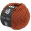 Cool Wool - Cinnamon 2125
