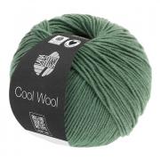 Cool Wool - Dark grey-green 2021