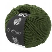 Cool Wool - Dark olive 2042