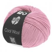Cool Wool - Dusty rose 2045