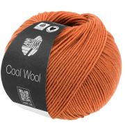 Cool Wool - Orange-brown  2116
