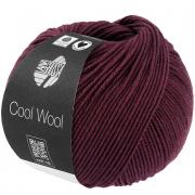 Cool Wool - Burgundy 2118