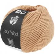 Cool Wool - Eggshell 2121