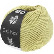 Cool Wool - Pastel green 2122