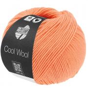 Cool Wool - Salmon 2123