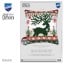 Cushion - Nordic evergreen reindeer