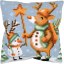 Cushion - A starry friendship