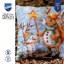 Cushion - A starry friendship