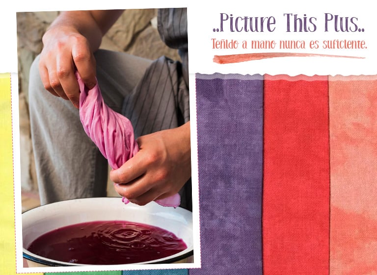 Picture This Plus